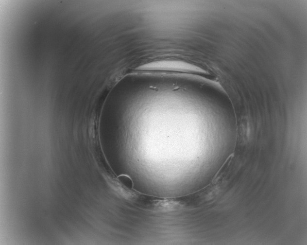 X0000068770379200605121708