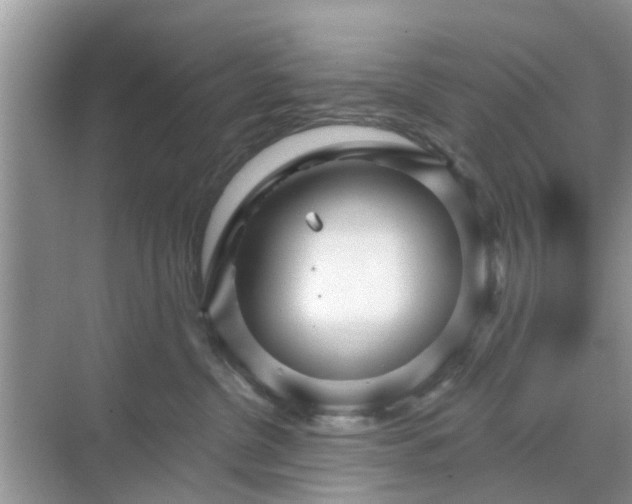 X0000068770380200605121708