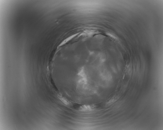 X0000068770381200605121708