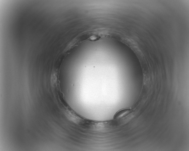 X0000068770382200605121708