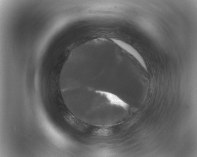 X0000068770383200605121708