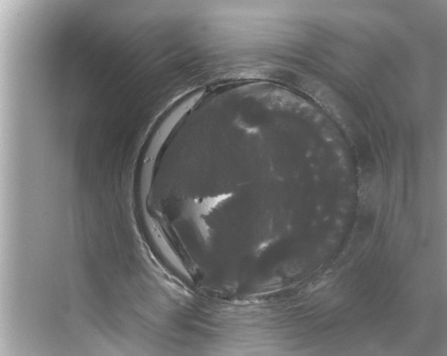 X0000068770386200605121707