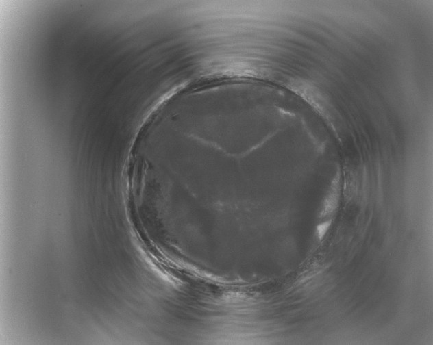 X0000068770390200605121707