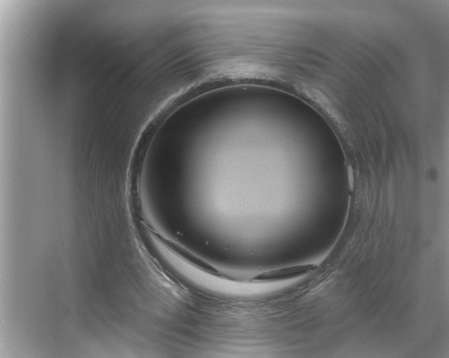 X0000068770391200605121707