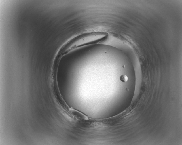 X0000068770392200605121707