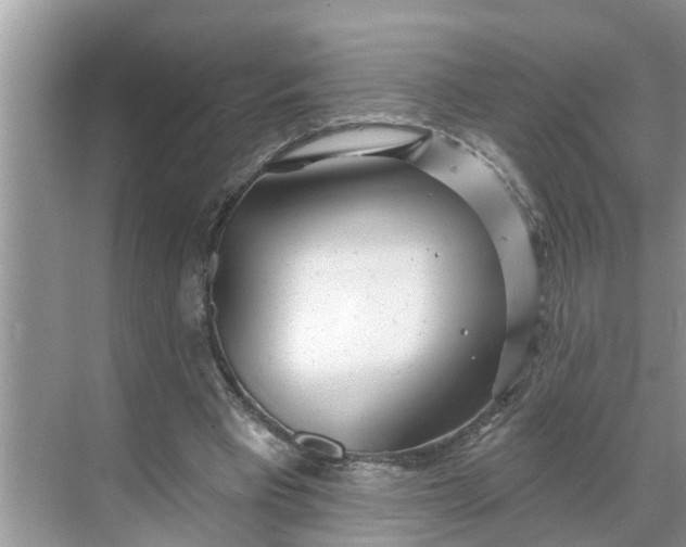 X0000068770393200605121707