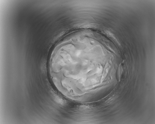 X0000068770394200605121707