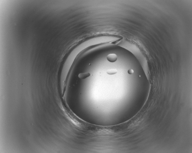 X0000068770397200605121707