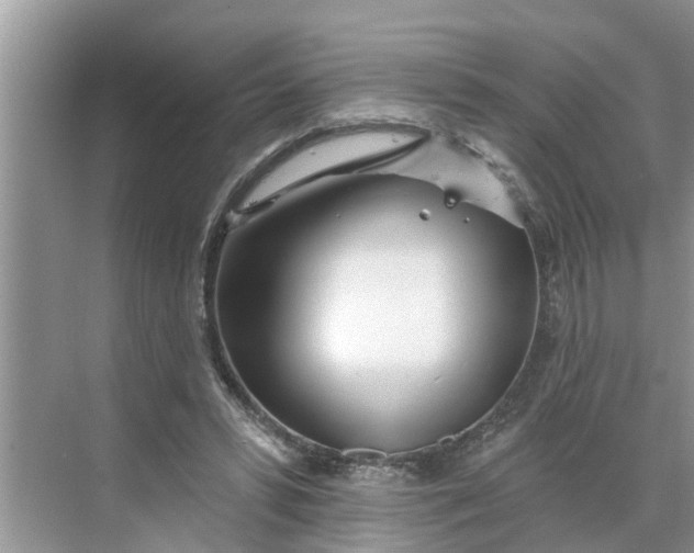 X0000068770399200605121707