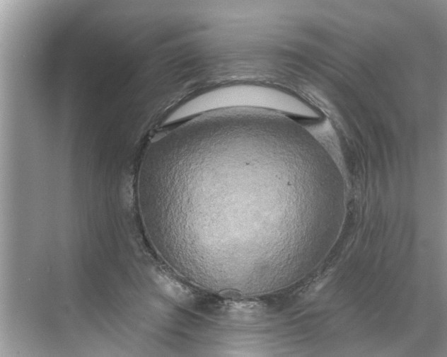 X0000068770401200605121707