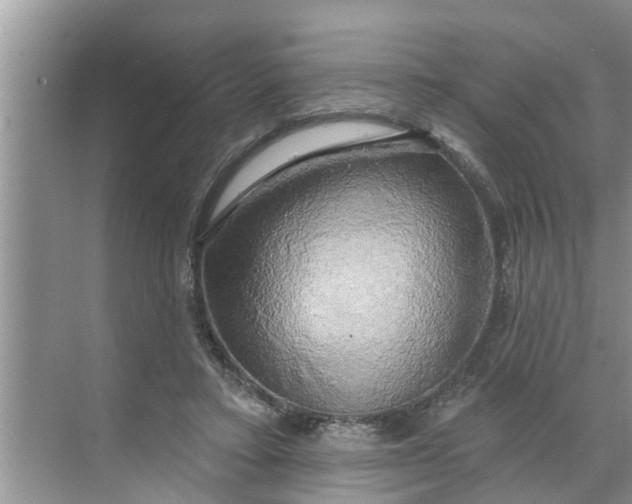 X0000068770403200605121707