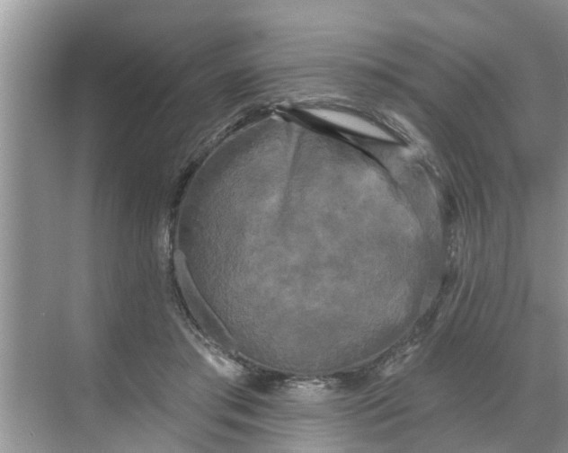 X0000068770405200605121707