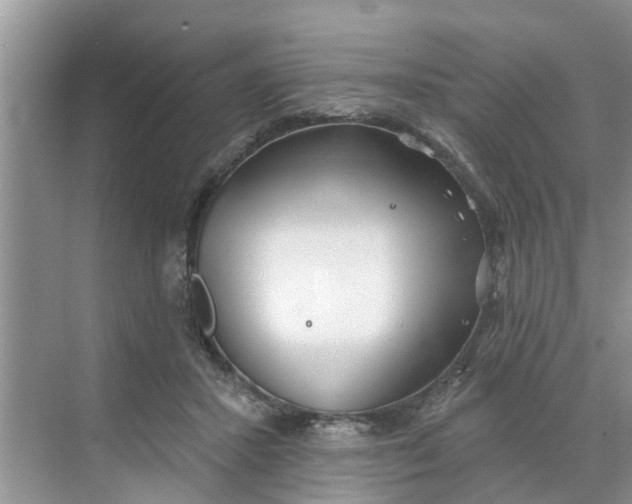 X0000068770407200605121707