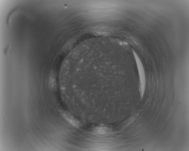 X0000068770408200605121707