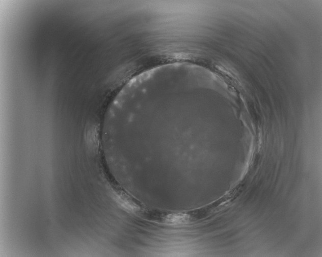 X0000068770410200605121707