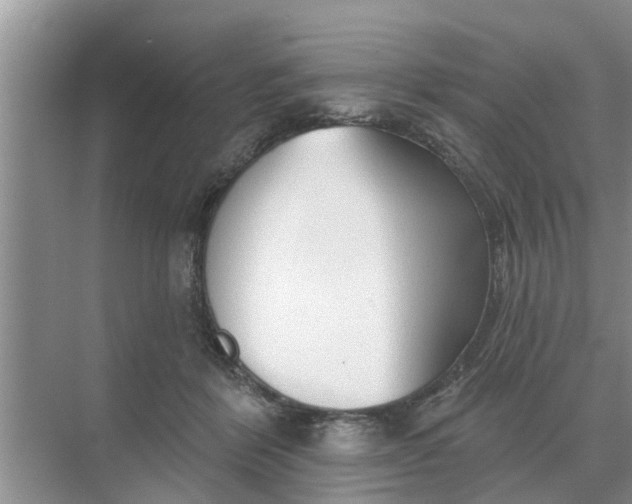 X0000068770412200605121707