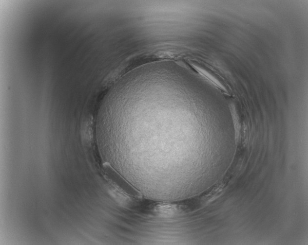 X0000068770413200605121707