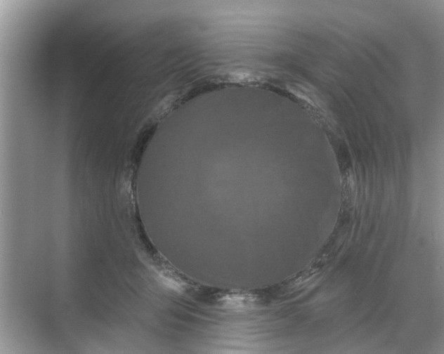 X0000068770415200605121707