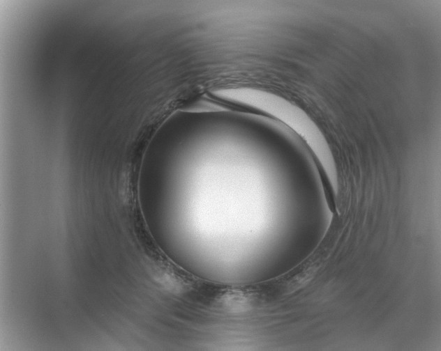 X0000068770416200605121707