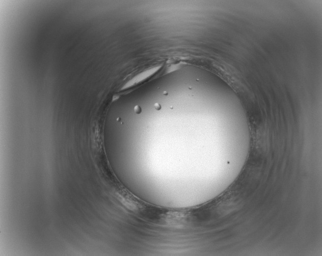 X0000068770418200605121707