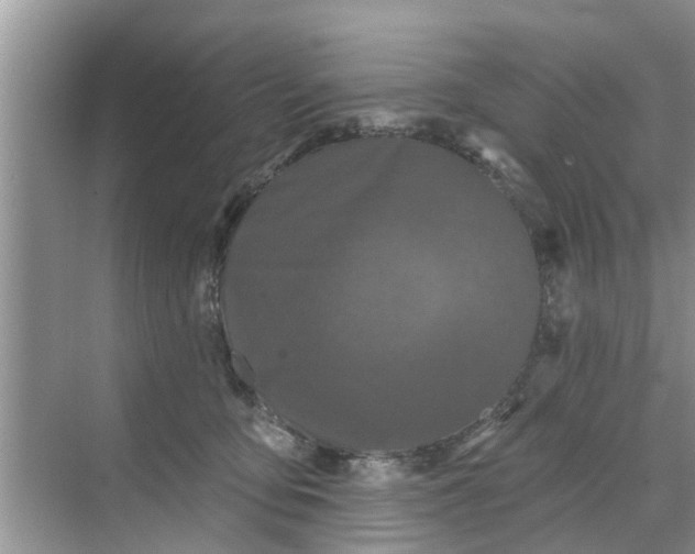 X0000068770419200605121707