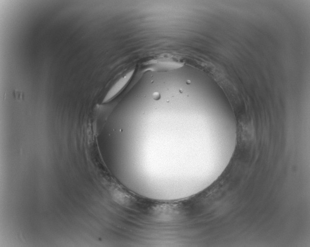 X0000068770422200605121706