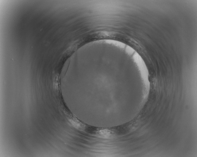 X0000068770423200605121706