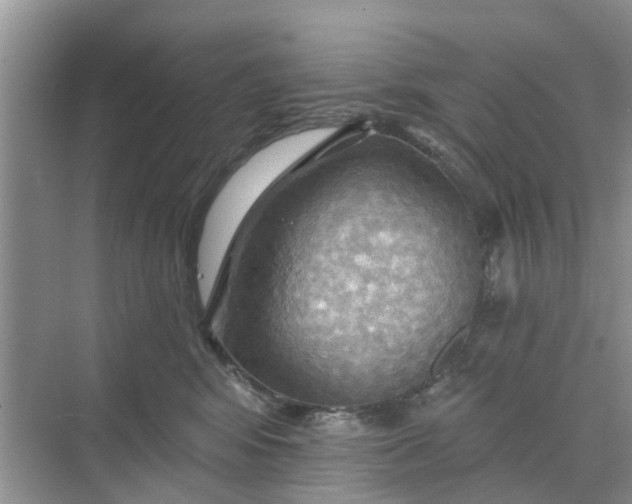 X0000068770424200605121706