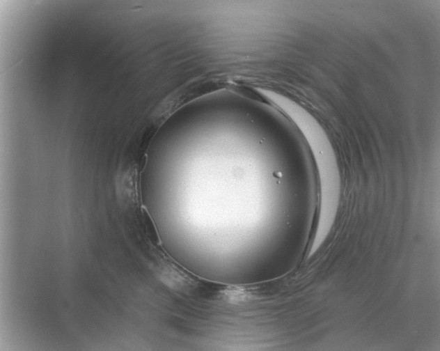 X0000068770425200605121706