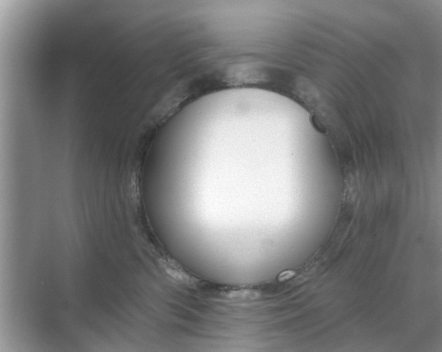 X0000068770426200605121706