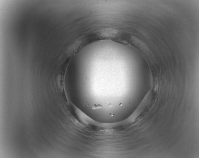 X0000068770428200605121706