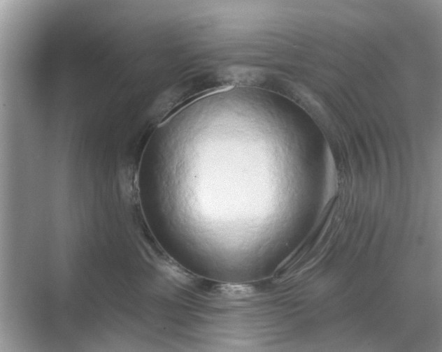 X0000068770429200605121706