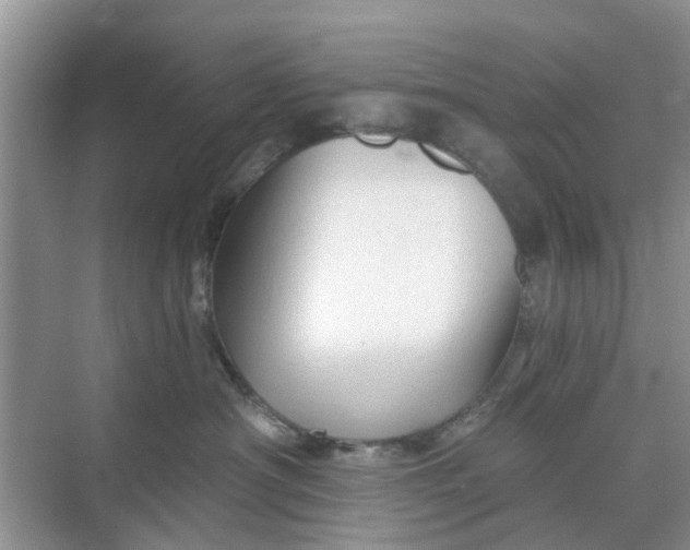 X0000068770430200605121706