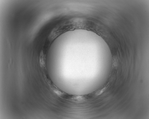 X0000068770431200605121706