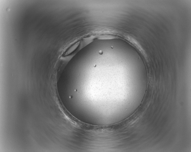 X0000068770433200605121705