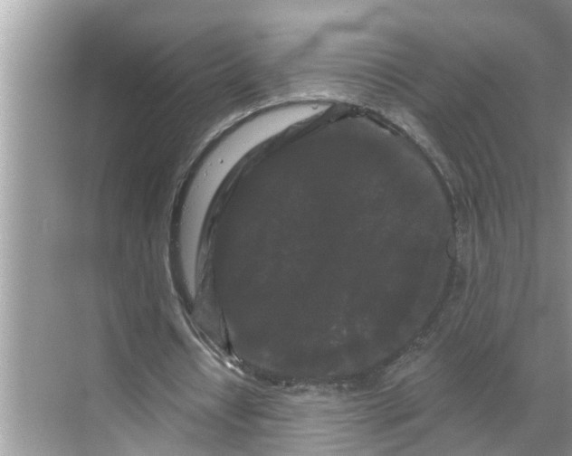 X0000068770434200605121705