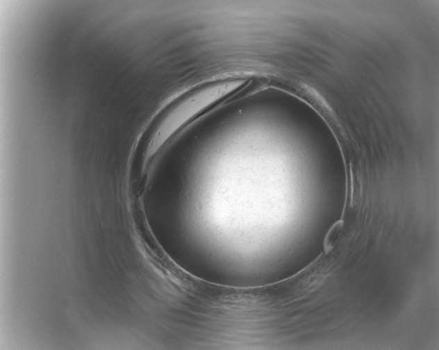 X0000068770435200605121706