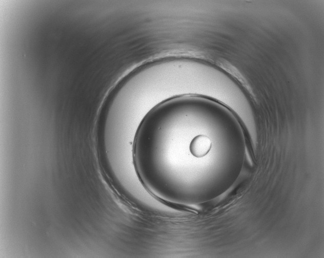 X0000068770436200605121706