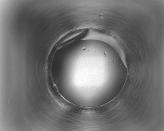 X0000068770440200605121706