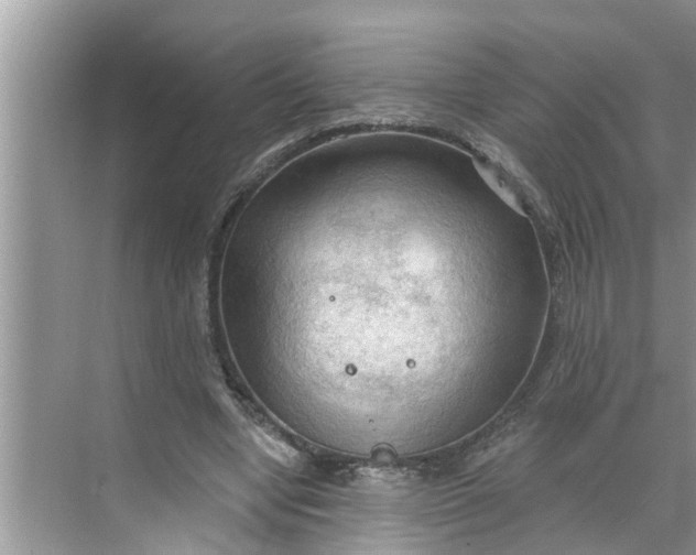 X0000068770442200605121706