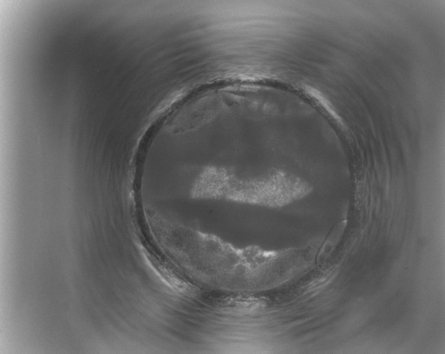 X0000068770443200605121706