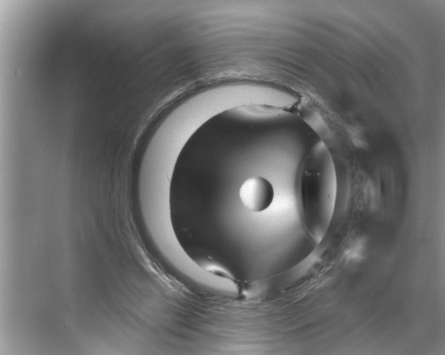 X0000068770446200605121706