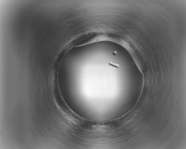 X0000068770448200605121706