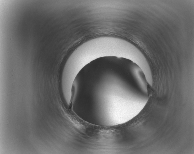 X0000068770450200605121706