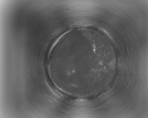 X0000068770451200605121706