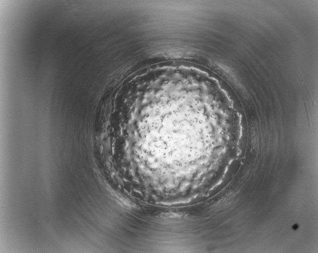 X0000068770453200605121706