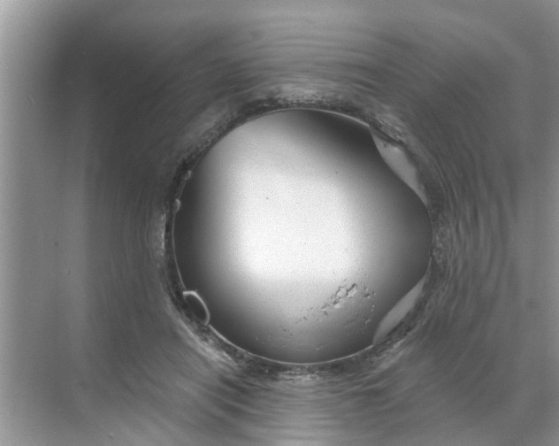 X0000068770454200605121706