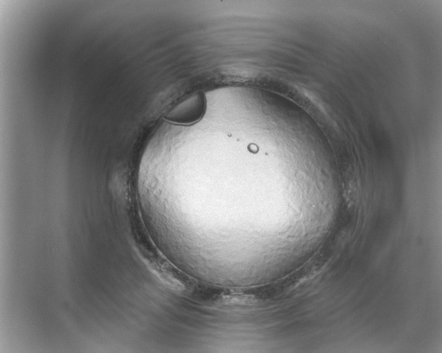 X0000068770455200605121706