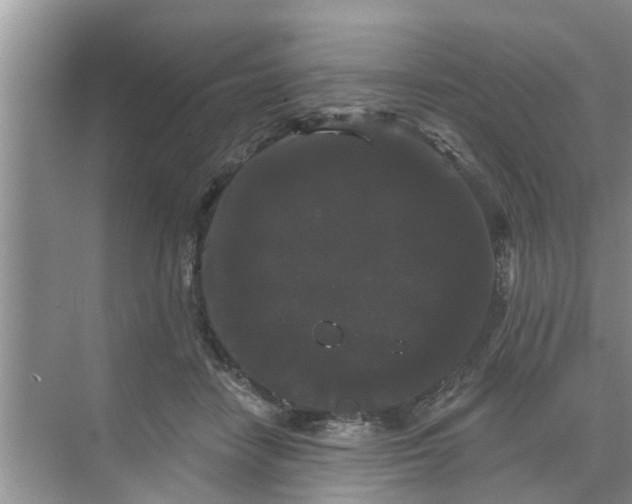 X0000068770458200605121706