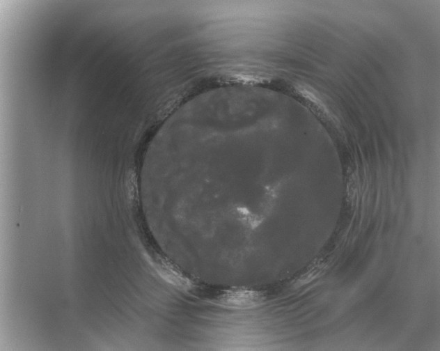 X0000068770459200605121706